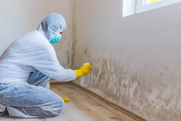 Mold Remediation specialist working in Fawn Grove